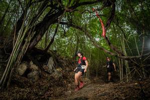 BIB: 
                            <button type="button" onclick="openModal(22179028)" class="btn btn-primary btn-sm float-right btn-popup" data-toggle="modal" data-target=".modal-high-quality">
                        <i class="fas fa-shopping-cart"></i> Add to Cart
                    </button>
                                            <button type="button" onclick="isThisMe(22179028, true)" class="btn btn-success btn-sm float-right btn-popup btn-isme hidden" data-toggle="tooltip" data-placement="bottom" title="นี่คือรูปของคุณใช่ไหม คลิกที่นี่เพื่อเอาเข้าอัลบั้ม">
                        <i class="fas fa-plus"></i> Add to album
                    </button>
                    <button type="button" onclick="isThisMe(22179028, false)" class="btn btn-warning btn-sm float-right btn-popup btn-isnotme hidden">
                        <i class="fas fa-ban"></i> Remove from album
                    </button>